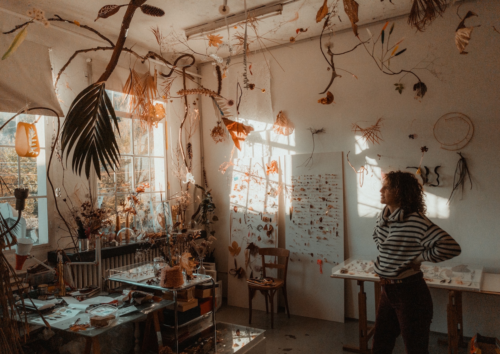 Unsplash Library - Public photography collection